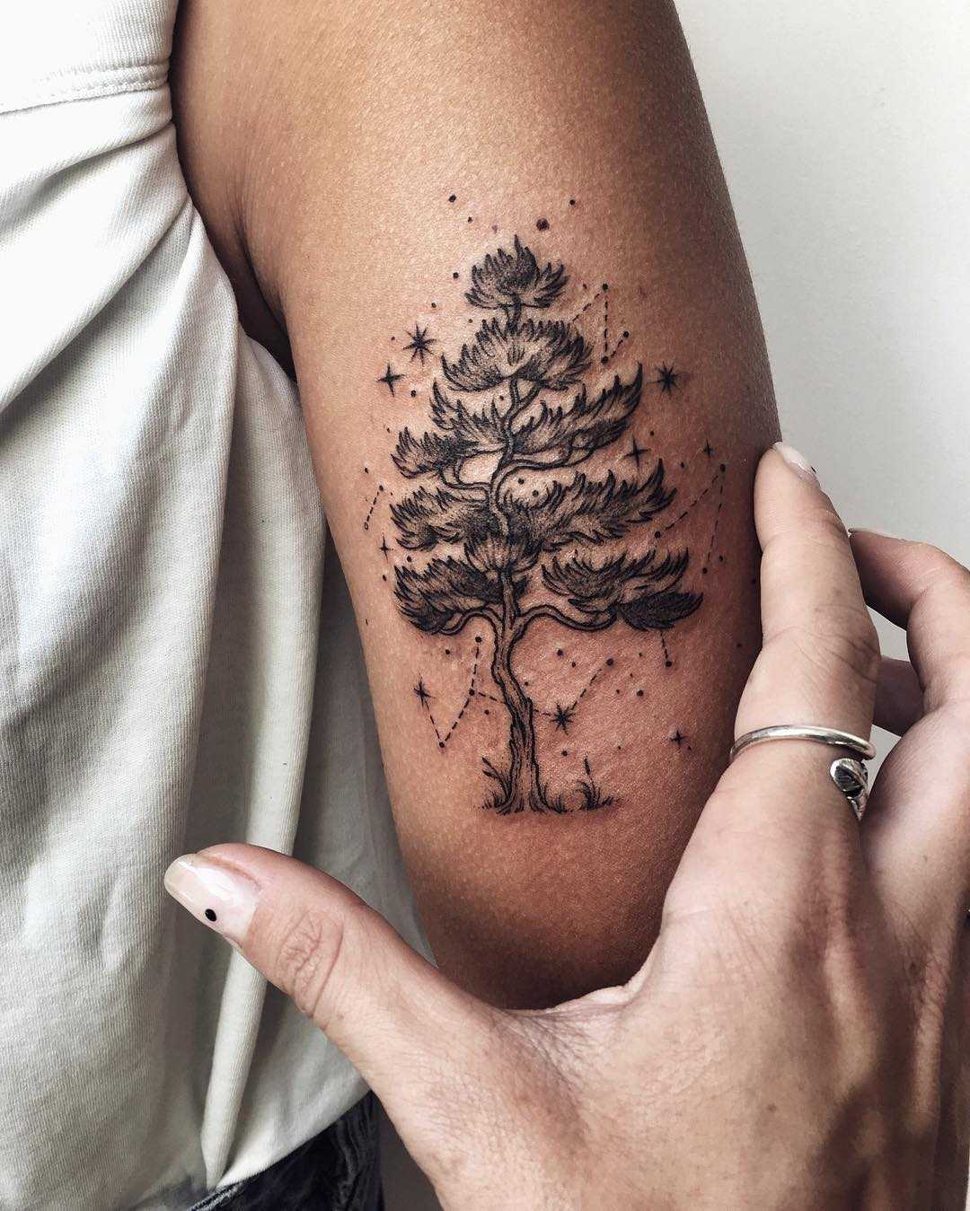 Pine tree tattoo by Sasha Tattooing