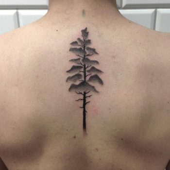 Redwood tree tattoo done at Kult Tattoo Fest