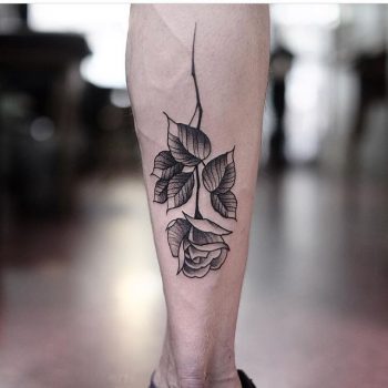 Rose on the calf by Jonas Ribeiro