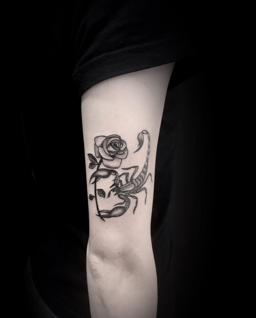 Scorpion with a rose