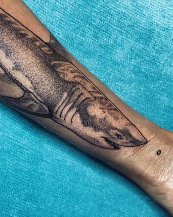 Shark tattoo by Sasha Kiseleva