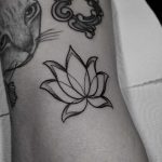 Small Lotus flower filler