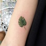 Small Monstera leaf on the forearm