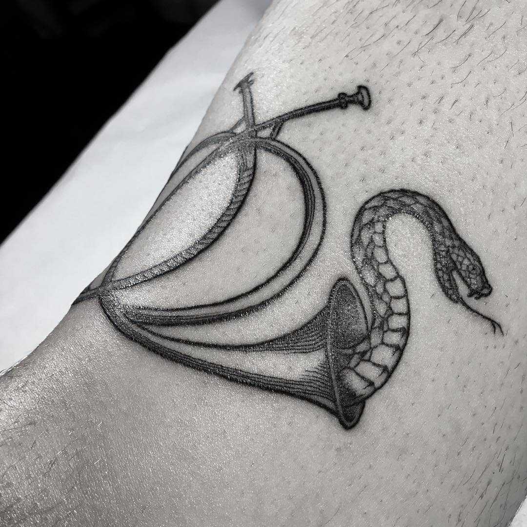 Snake in a horn