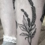 Sprigs tattoo on the shin