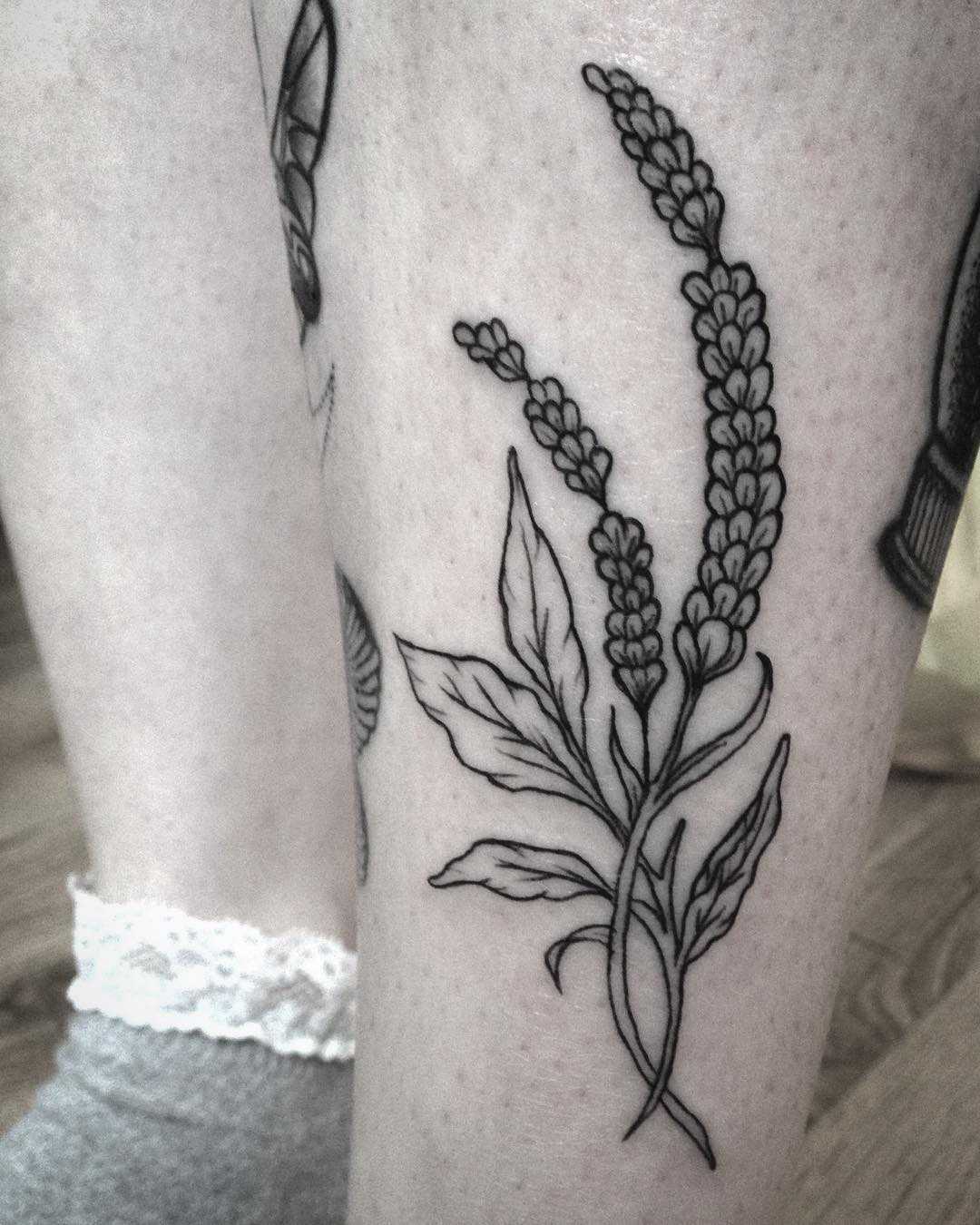 Sprigs tattoo on the shin