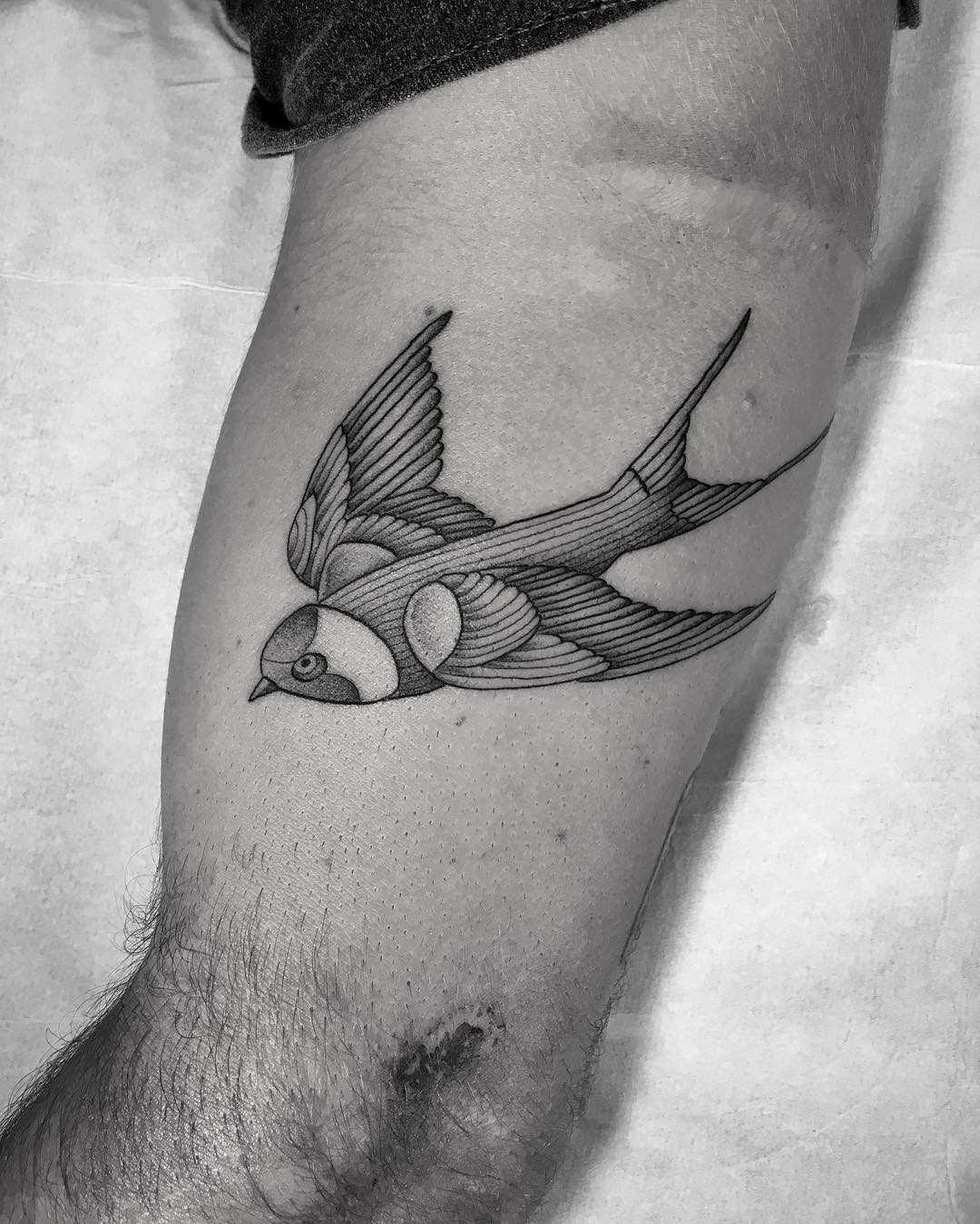 Thipan style swallow tattoo