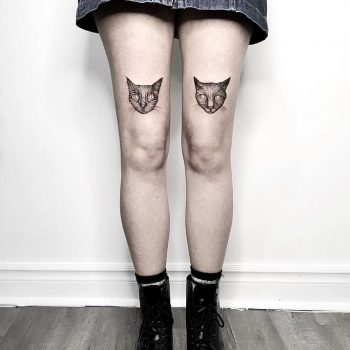 Two cats on thighs