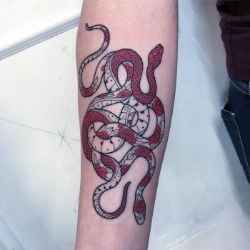 Black and red snake by Mirko Sata