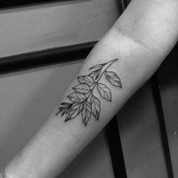 Blackwork branch tattoo by Alexandra Picchi