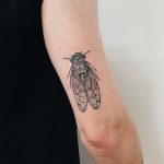 Cicada tattoo on the triceps