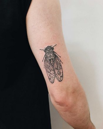 Cicada tattoo on the triceps