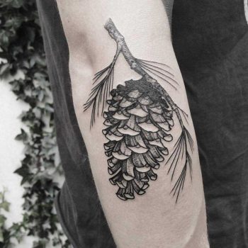 Conifer cone tattoo by Roald Vd Broek