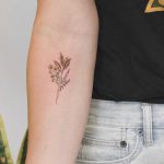 Coriander, rosemary, laurel and lavender tattoo