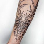 Deer forearm by Sasha Kiseleva