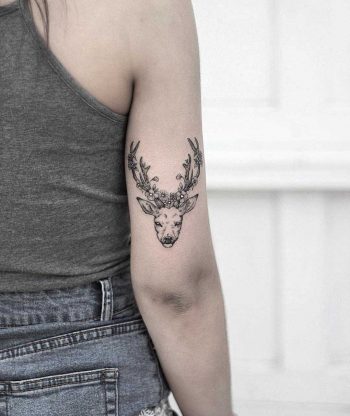 Deer head by Alex