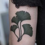 Ginkgo leaves tattoo on the arm