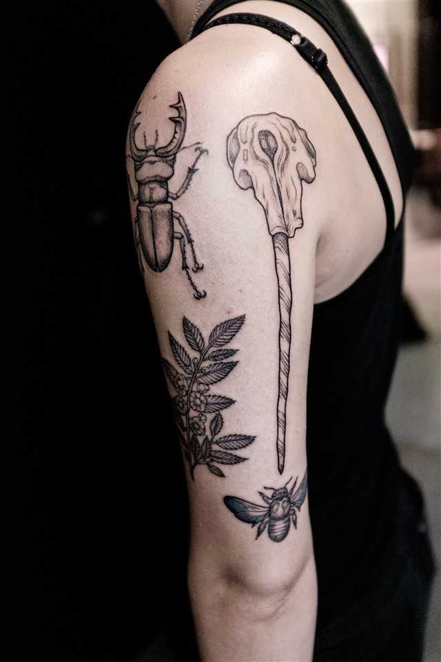 Insects and branch tattoo by Dogma Noir