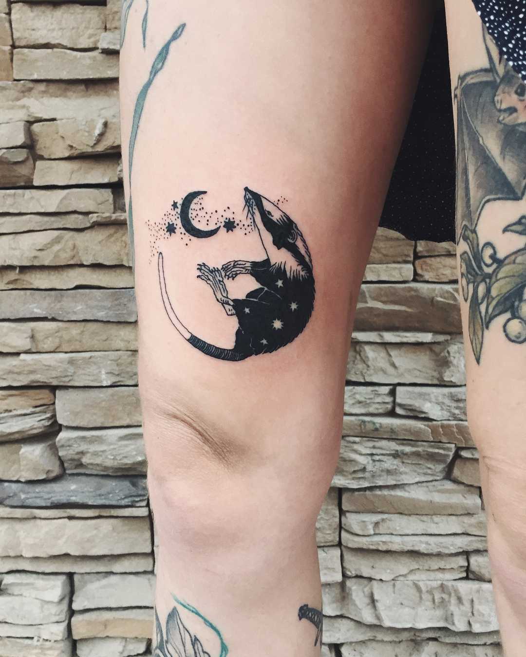 Little moonrat tattoo