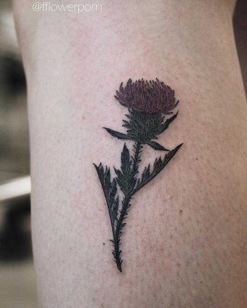 Little thistle tattoo