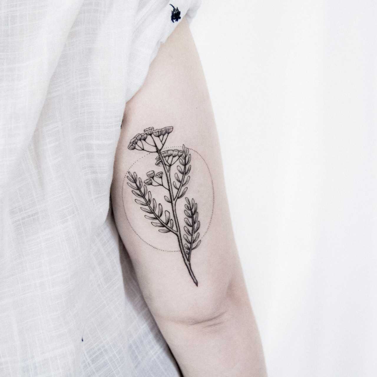 Minimalist plant tattoo by Dogma Noir