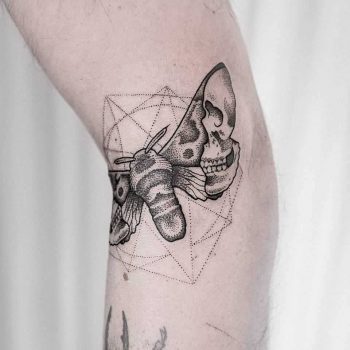 Moth by Dogma Noir