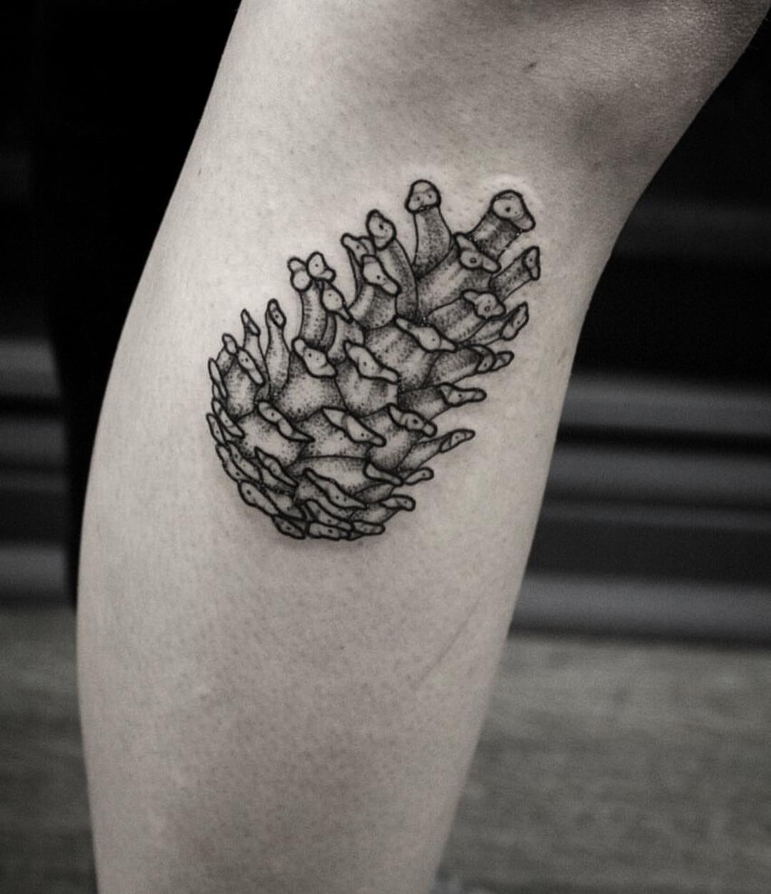 Pinecone tattoo by Jas