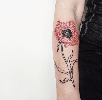 Poppy tattoo by Martha Bocharova