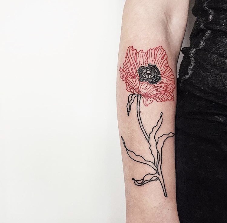 A poppy tattoo by @matthewnuttalltattoo. Find more tattoos on my instagram!  : r/tattoo