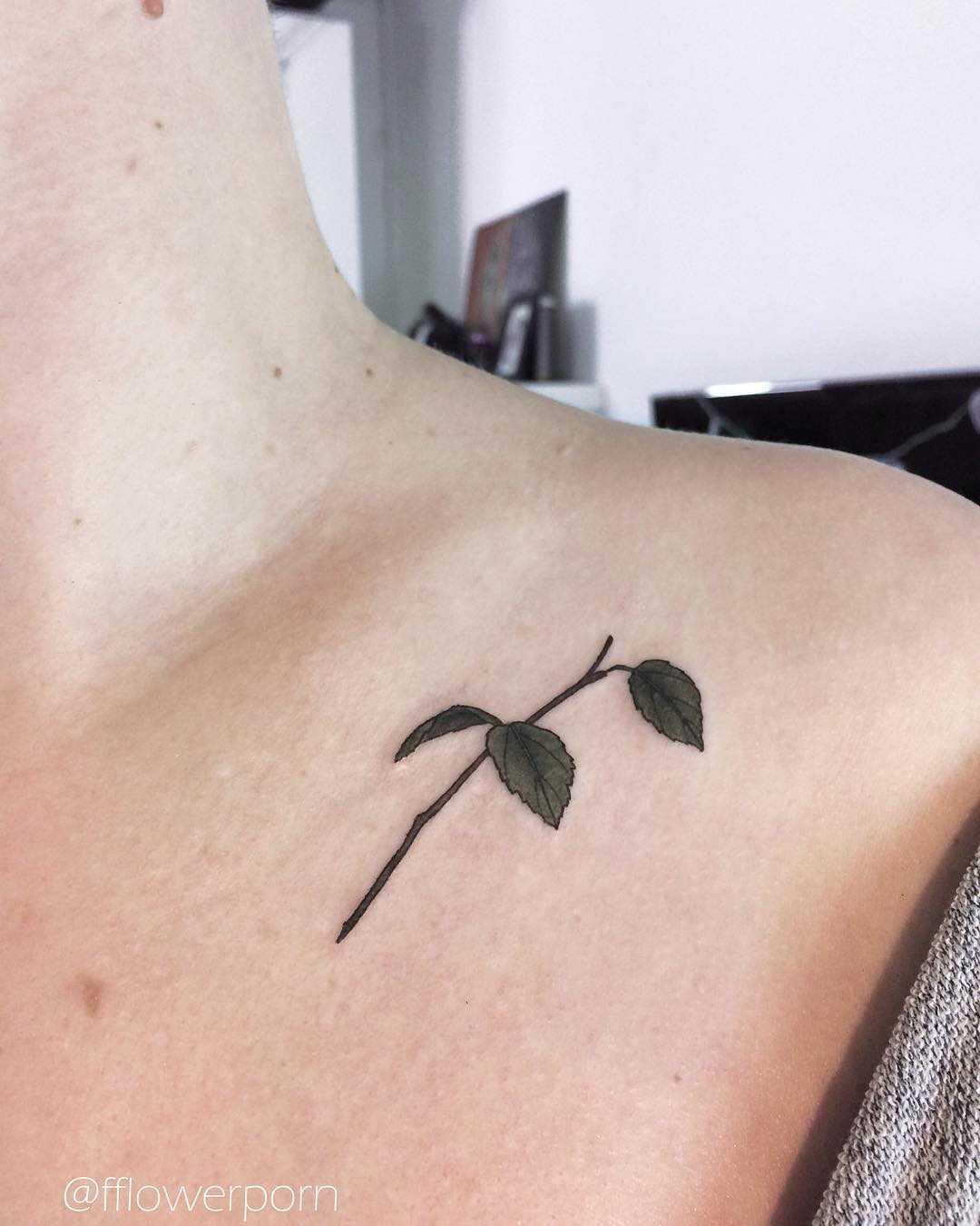 Small birch branch tattoo on the clavicle