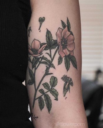 Wild rose tattoo by Olga Nekrasova