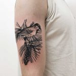Bird on a pine branch by Finley Jordan