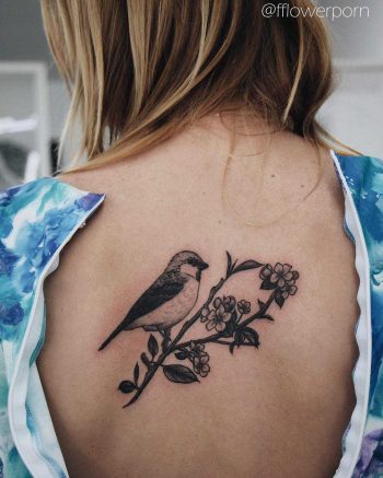 Bird on an apple blossom branch