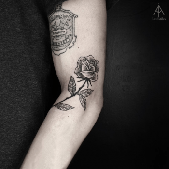 Black and grey rose by Ilayda Atlas