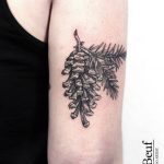 Conifer cone tattoo on the arm Loïc Lebeuf