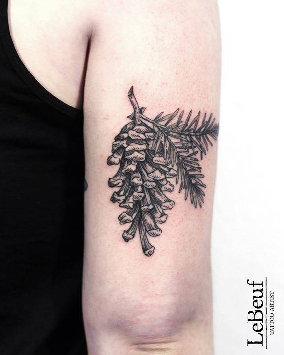 Conifer cone tattoo on the arm Loïc Lebeuf