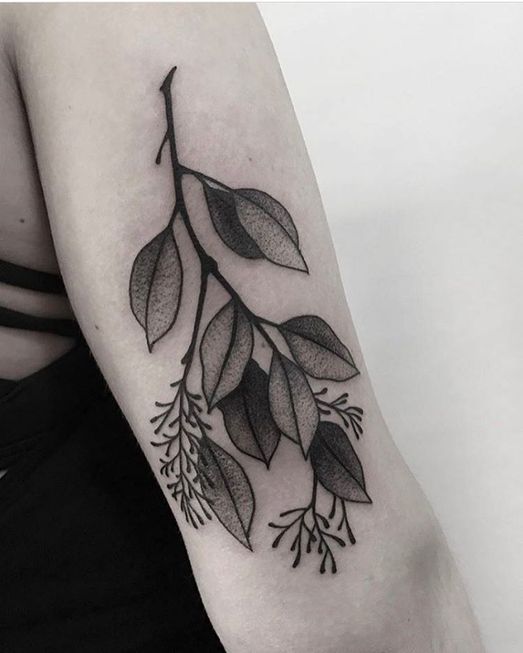 Grey branch tattoo by Roald VD Broek
