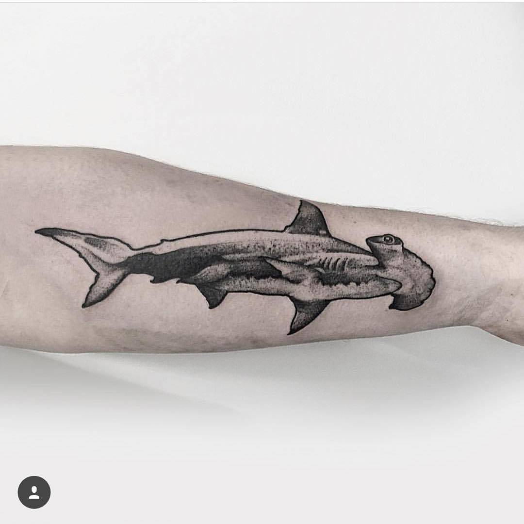 Hammerhead shark by Thomas Bates Tattoo