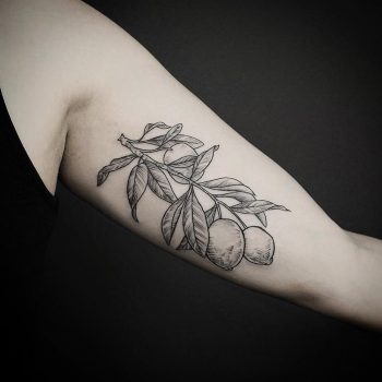 Lemon branch tattoo on the bicep