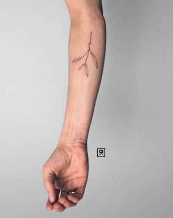 Minimalist plant tattoo by Meester Prikkebeen