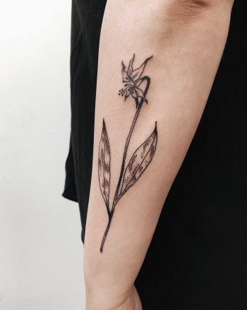 Oregon wild lily tattoo