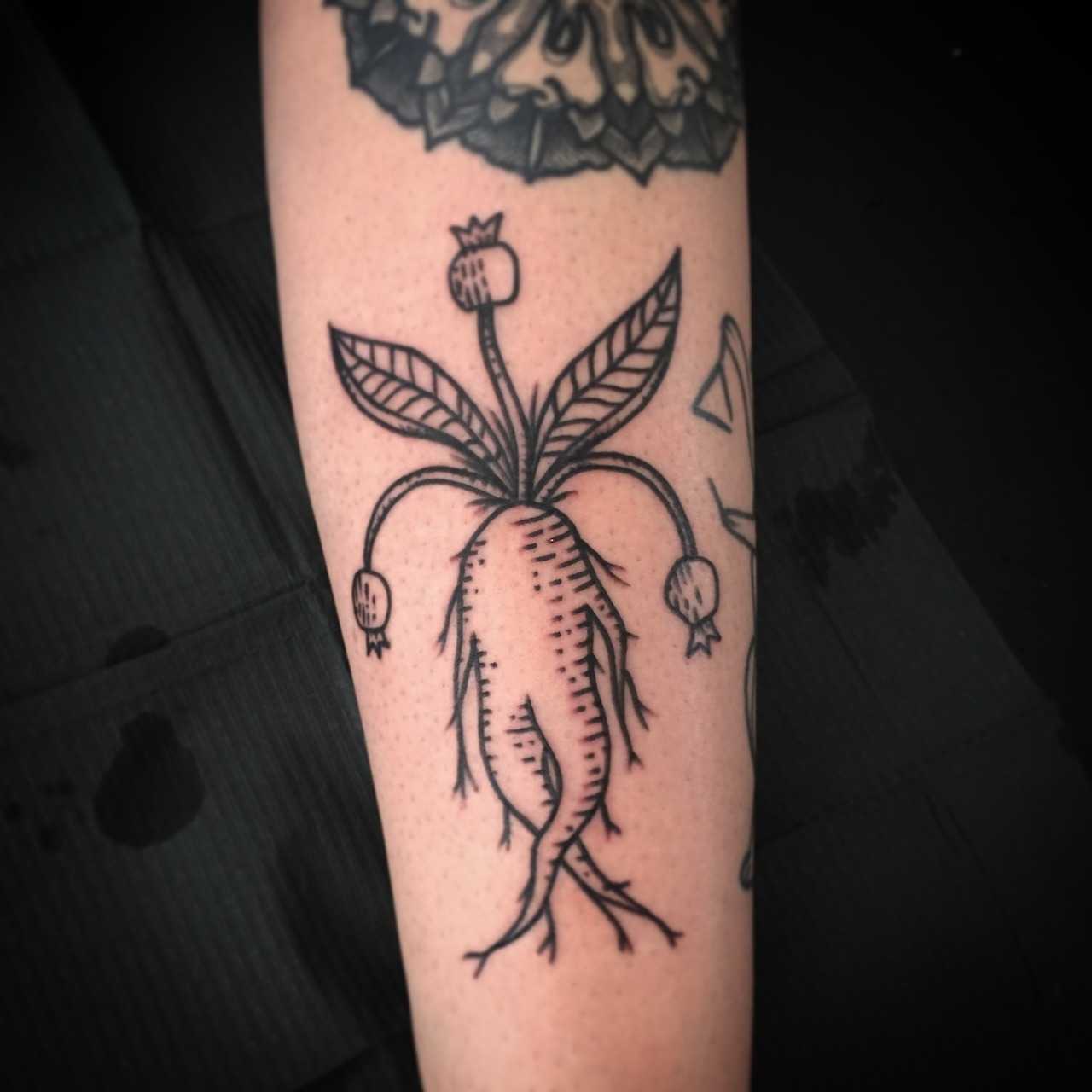 Plant with roots tattoo
