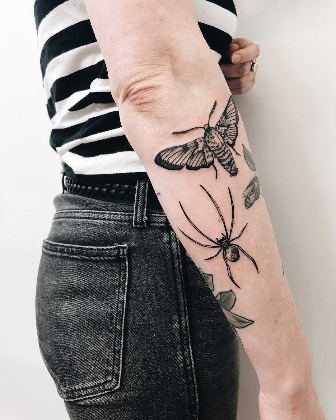 Spider and moth tattoo by Finley Jordan