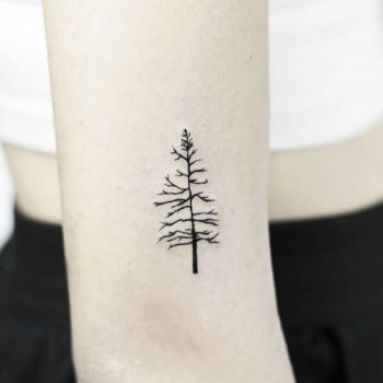 Tiny tree by Stela TX