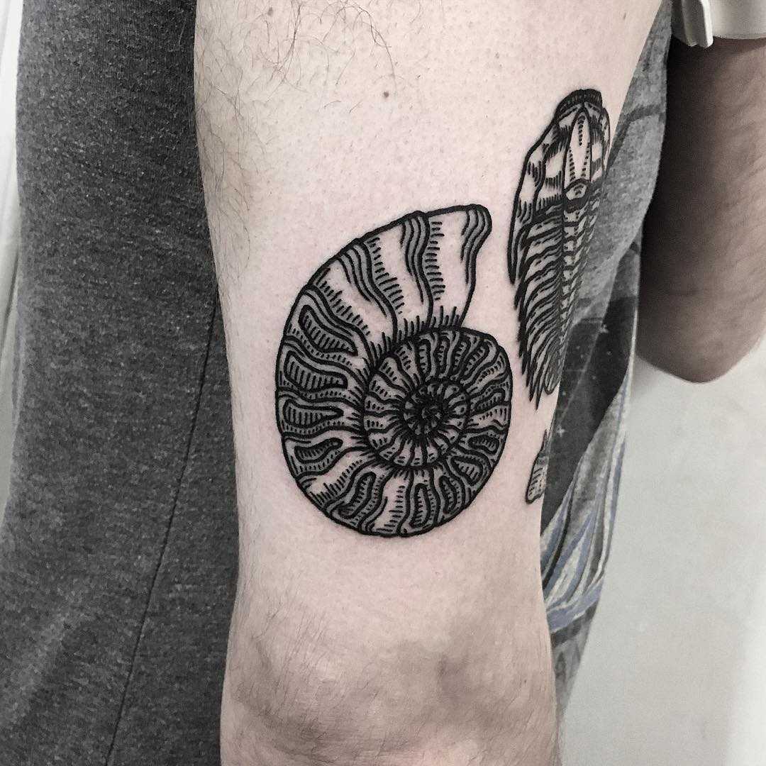 Ammonite tattoo by Deborah Pow