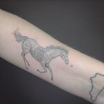 Anatomical horse tattoo
