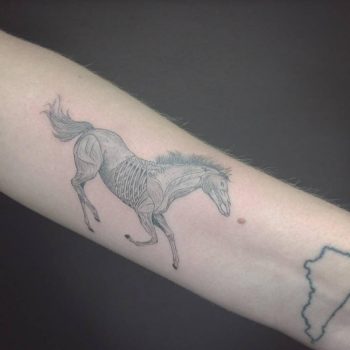 Anatomical horse tattoo