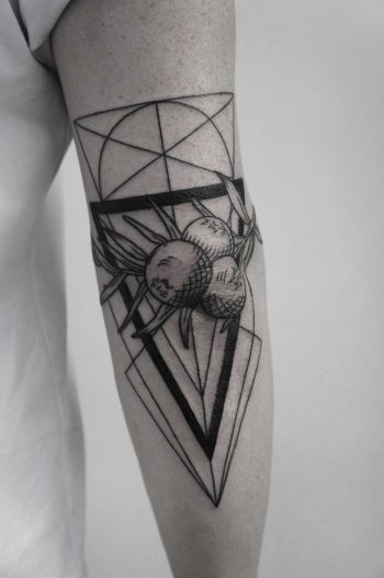 Berries and geometry by SVA