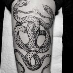 Intertwined snakes tattoo