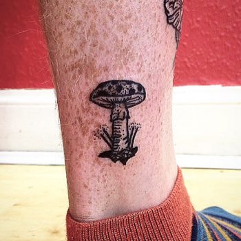 Little mushroom by Deborah Pow
